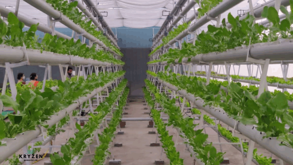 AI-powered Agritech Startup in India